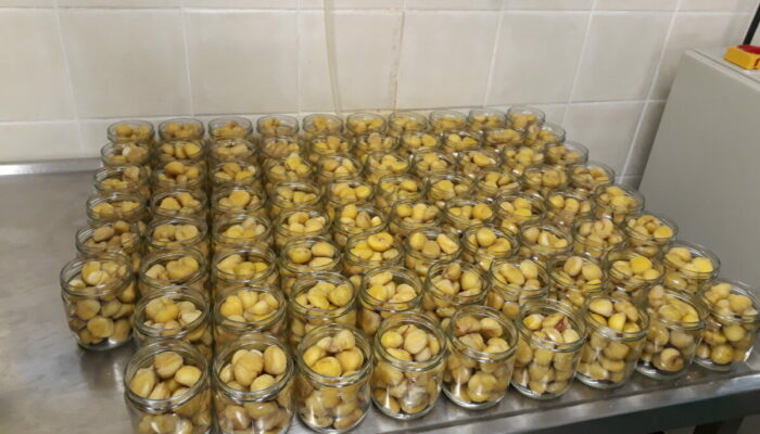 Image 0 : LOU MAS DEL MIECH