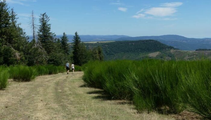 Image 1 : Col de Salidès