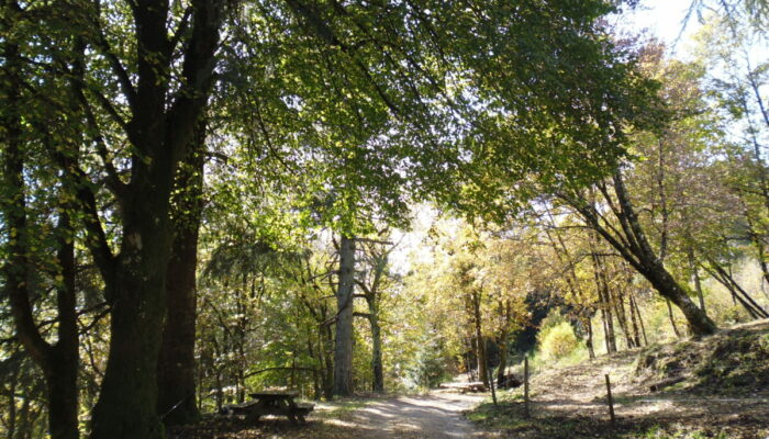 Image 2 : Col des Abeilles