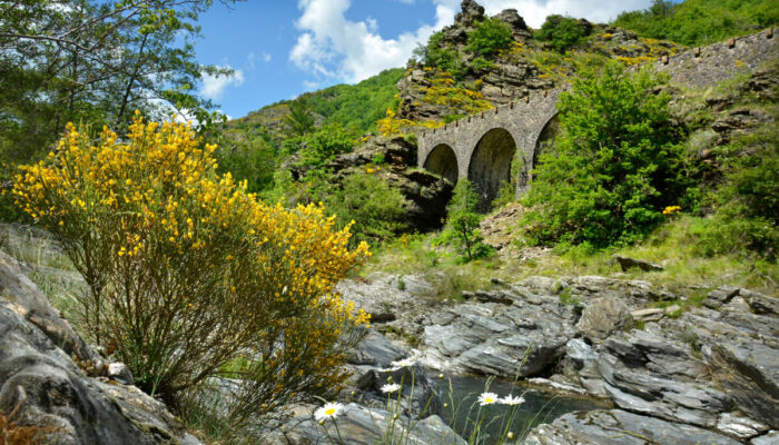 Image 0 : COL DU REY, AU COEUR DES CEVENNES