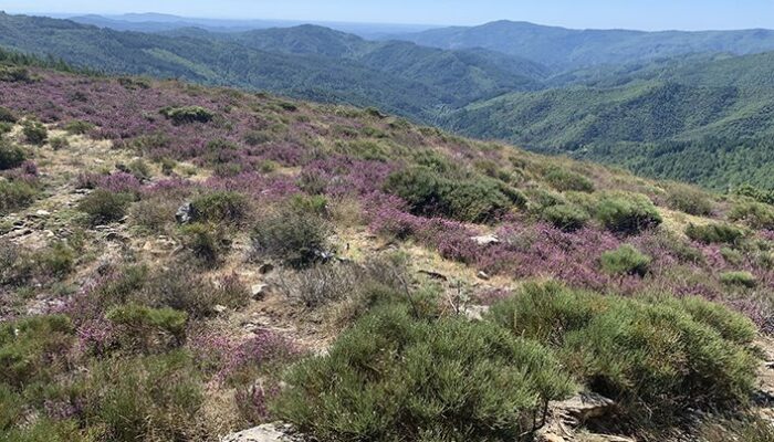 Image 1 : Crête du Ventalon - Trail n° 26
