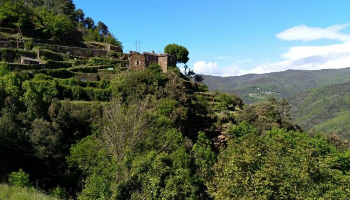 Image 1 : DES CÉVENNES AU MONT LOZÈRE, LE GRAND TOUR