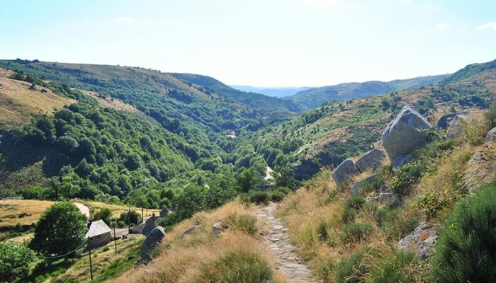 Image 4 : Gasbiel