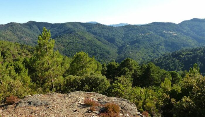 Image 0 : La Carrière, sur les pas des Maquisards