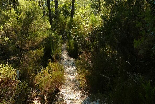 Image 1 : La Carrière, sur les pas des Maquisards