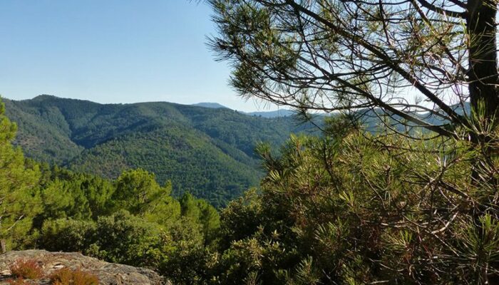 Image 2 : La Carrière, sur les pas des Maquisards