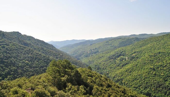 Image 2 : La tour du Canourgue