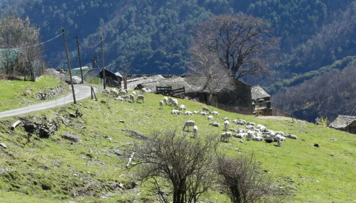 Image 0 : Le moulin