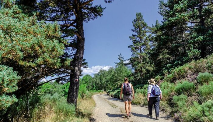 Image 3 : Le Pont du Tarn par la Croix de Berthel