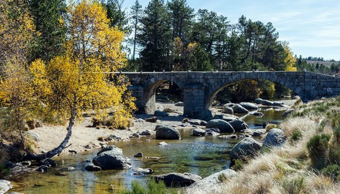 Image 2 : Le Pont du Tarn par Masméjean