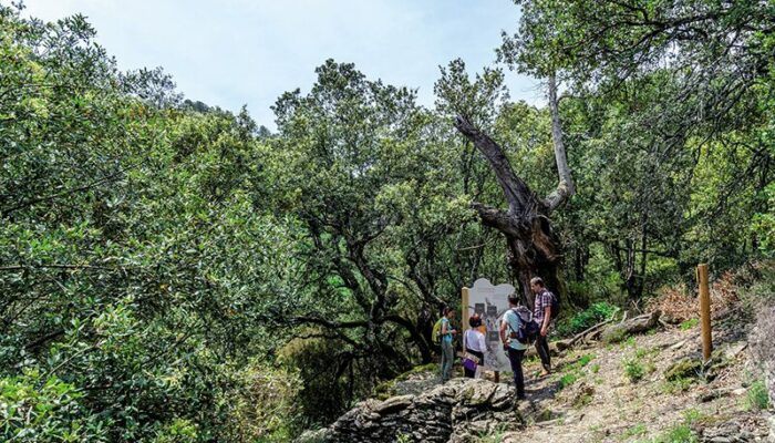 Image 1 : Le Ravin secret de Champernal