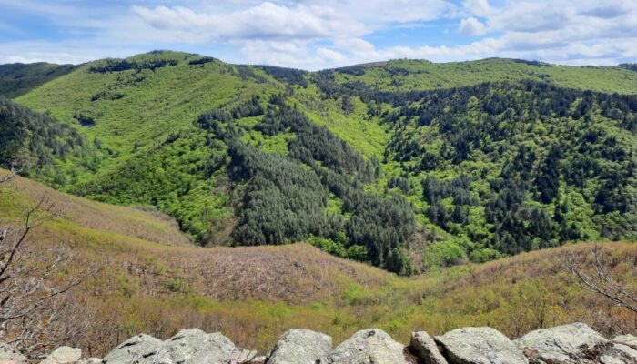 Image 0 : LE TOUR DU MONT LOZÈRE OUEST