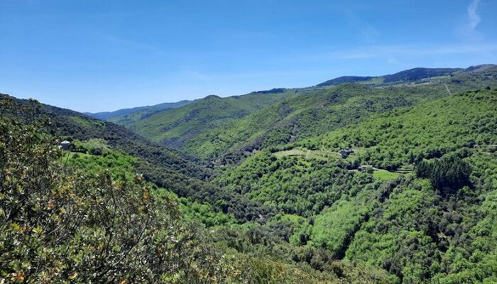 Image 3 : Magnanerie de La Roque