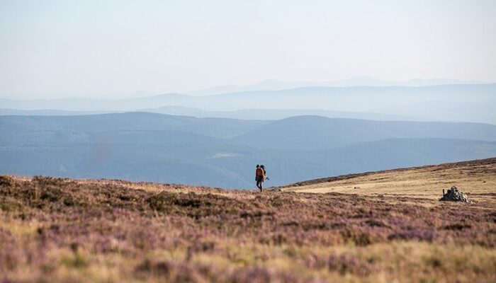 Image 0 : Mallevrière par Finiels
