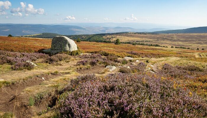 Image 1 : Mallevrière par Finiels