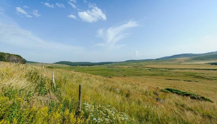 Image 1 : Mas Camargues