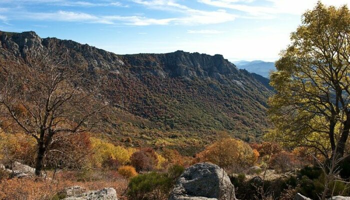 Image 1 : Rocher du Trenze et Bayardet - Trail n°20
