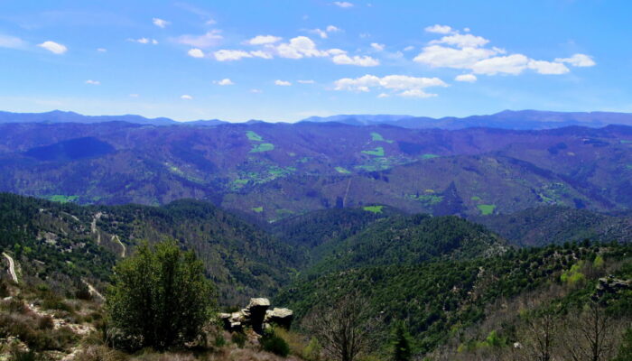 Image 1 : SENTIER DE BIASSES AU CŒUR DE LA VALLÉE FRANÇAISE