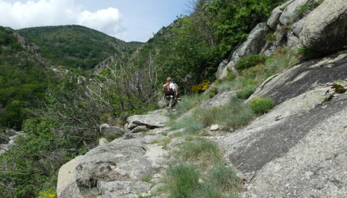 Image 3 : SENTIER  DES TOURRIÈRES