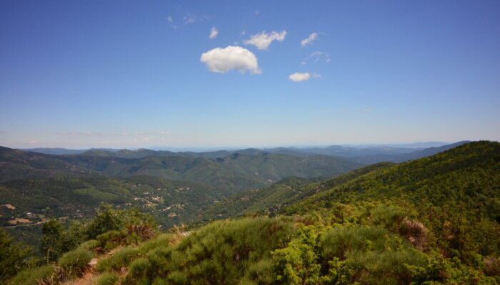 Image 1 : SENTIER DU COL DES ABEILLES