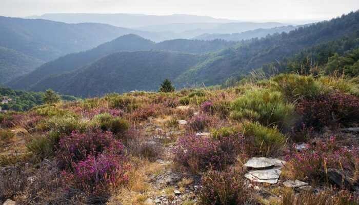 Image 1 : Serre de Banette - Trail n° 27