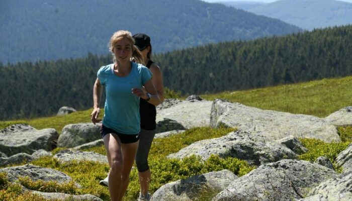 Image 0 : Sommet de Finiels et Pelouse (Variante courte) - Trail n°17v