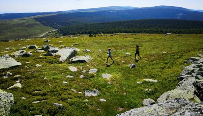 Image 1 : Sommet de Finiels et Pelouse (Variante courte) - Trail n°17v