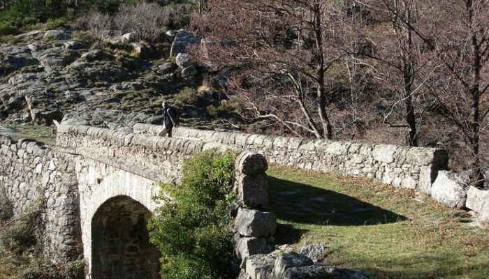 Image 2 : Tourrières