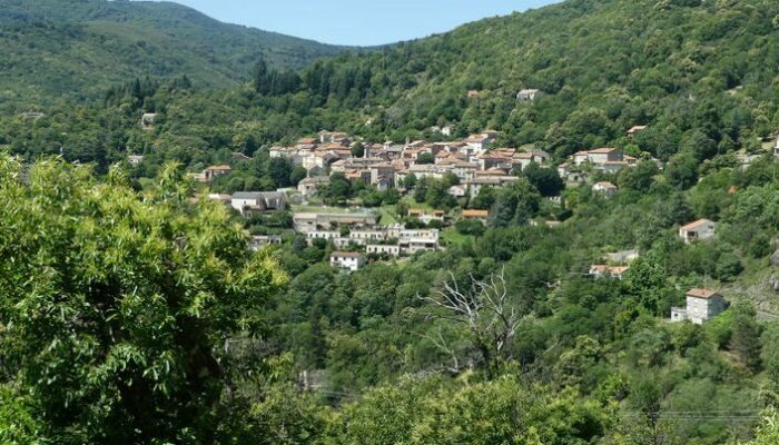 Image 1 : Tourrières