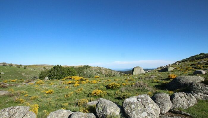 Image 2 : Vallée de Gourdouze - Trail n°21