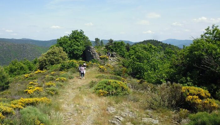 Image 3 : Vallon de Soubrelargue
