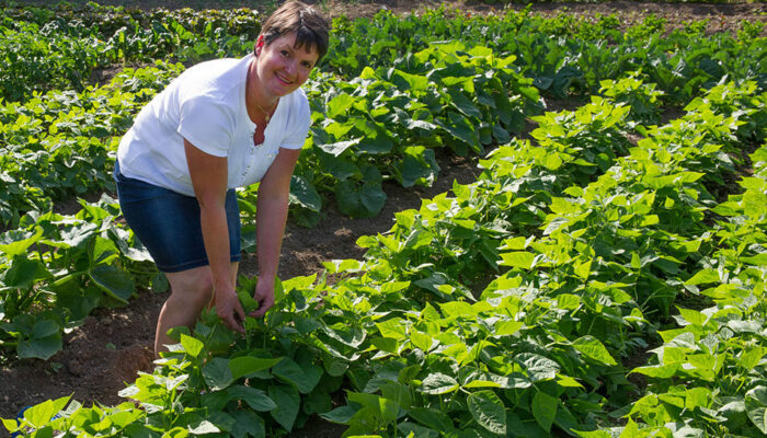 Image 4 : LE CANTOU DU PONCET