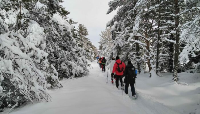 Image 4 : Bien être et randonnée / raquettes Cévennes Mont Lozère
