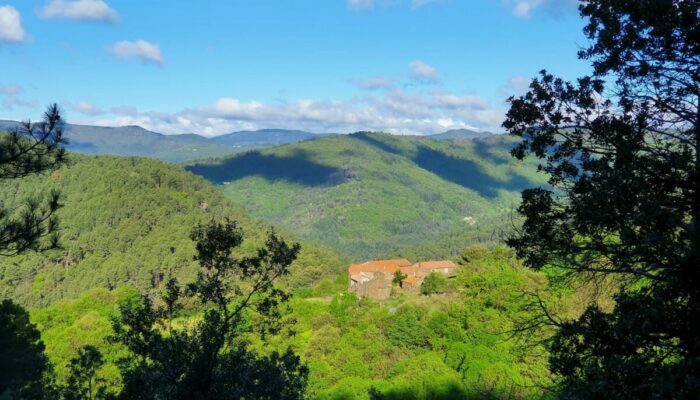 Image 1 : CYCLE DE STAGES : RENCONTRE AVEC LE CHAMANISME UNIVERSEL