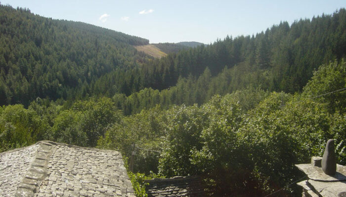 Image 1 : GYMNASTIQUE HOLISTIQUE ET RANDONNEE