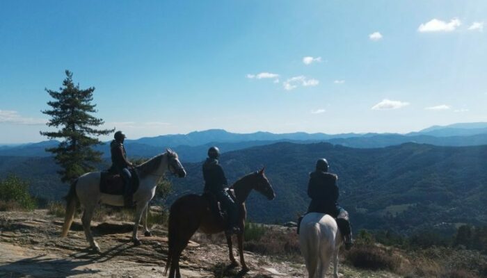 Image 0 : Séjour bien-être à cheval