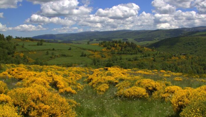 Image 4 : Séjour Mont Lozère - Cévennes des paysages et des hommes