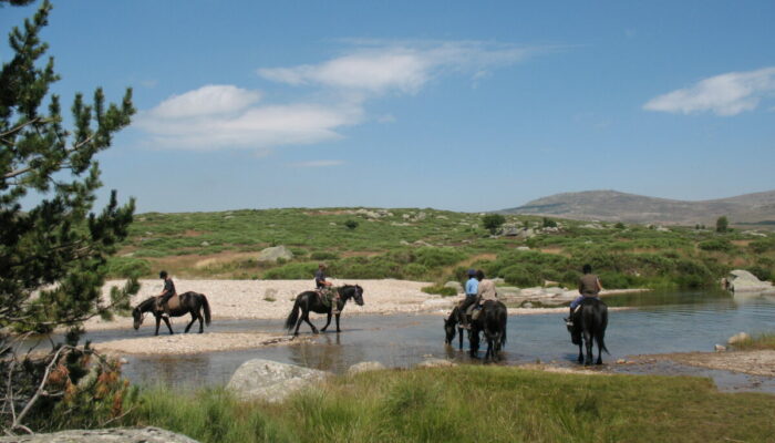Image 1 : Trois jours à cheval sur le Mont Lozère