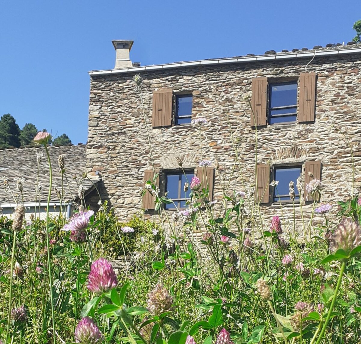 Image 4 : VILLAGE VACANCES LES HAUTS DE SAINT PRIVAT