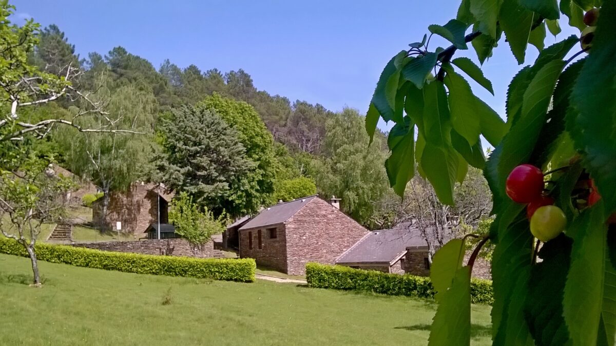 Image 0 : VILLAGE VACANCES LES HAUTS DE SAINT PRIVAT 