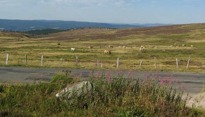 Image 0 : COL DE FINIELS (COTATION BLEU)